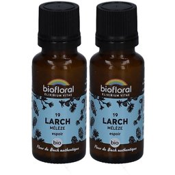 19 Larch - Mélèze