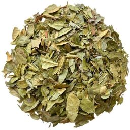 Tisane Boldo feuille 250 GRS Peumus boldus.