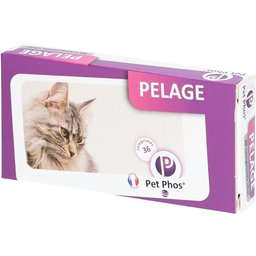 PET - phos pelage chat