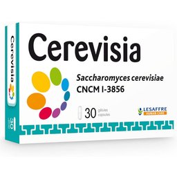 Cerevisia