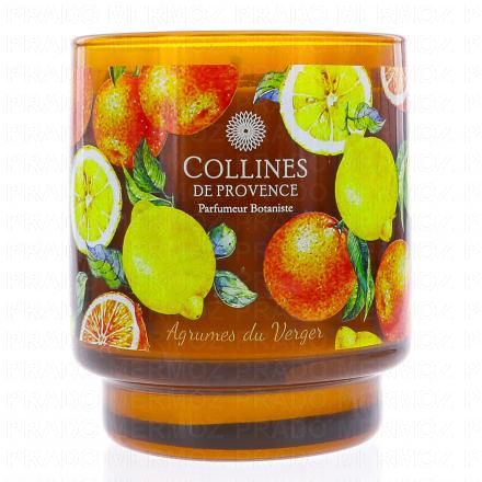 COLLINES DE PROVENCE Bougie parfumée Agrumes du Verger 220g