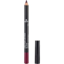 Crayon Contour Des Lèvres Bio Mûre 1g