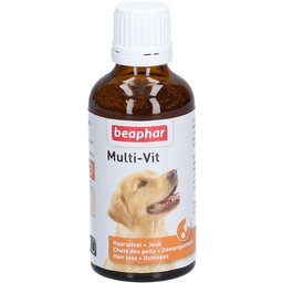Multi-Vit Chien