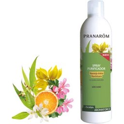 Pranarôm Spray Assainissant Orange Douce 400ml