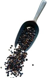 Tisane Genièvre baie 250 grs Juniperus communis.