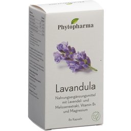 Lavendula