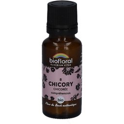 Biofloral 08 Chicory - Chicorée