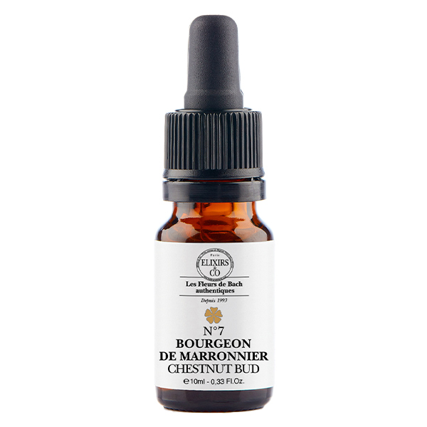 ELXIRS&CO - Unitaire BOURGEON DE MARRONNIER - 10ML