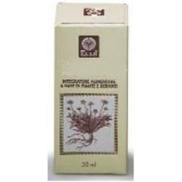 Fucus Analco Extract 50Ml 796 Eco