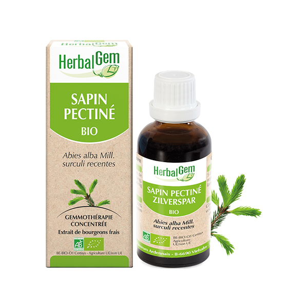 Macérat Concentré Sapin Pectiné Bio 30ml