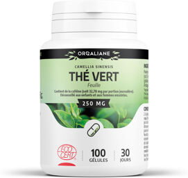 Thé Vert Ecocert 250 mg - gélules
