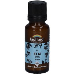Elm - Orme - Bio