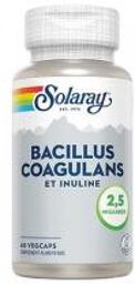 Bacillus Coagulans et Inuline 2,5 Milliards 60 Capsules Végétales - Boîte 60 capsules