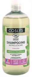 Shampoing Antipelliculaire Cheveux à Pellicules Bio 500 ml - Flacon