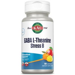 New Gaba LTheanine Stress B 100comp