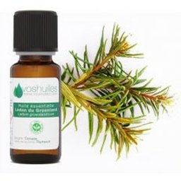 Huile Essentielle De Lédon Du Groenland 5ml