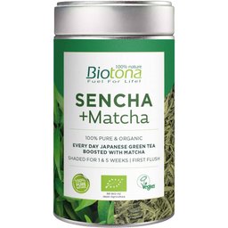 Sencha + Matcha
