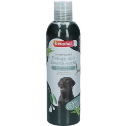 Shampooing Chien Pelage Noir