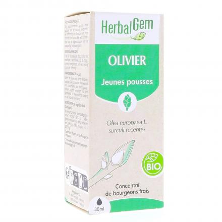 Concentré de bourgeons frais - Olivier jeunes pousses Bio 30ml