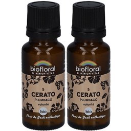 Cerato - Plumbago - Bio