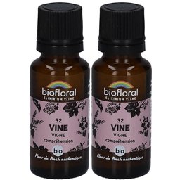 Vine - Vigne - Bio