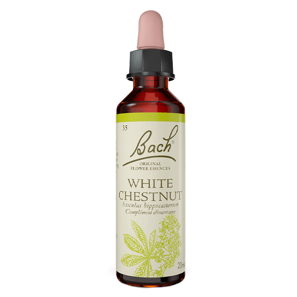Original - White Chestnut 20ml
