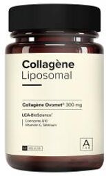 Collagène Liposomal 300 mg Anti-Âge Hydratation Articulations Assimilation Renforcée 60 Gélules - Pot 60 gélules