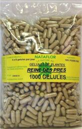 GELULES REINE DES PRES (Ulmaire) 250 mg 1000 GELULES