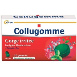 Collugomme Gorge Irritée 30 Gommes