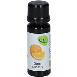 Oak Citrus sinensis