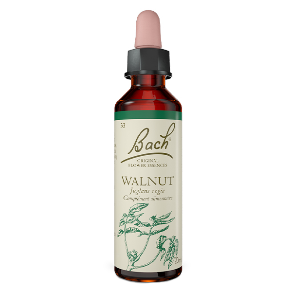 Original - Walnut 20ml