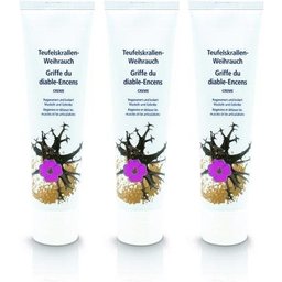 Crème d'encens griffe du diable Phytomed