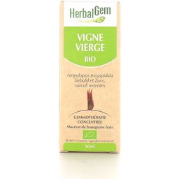 Macératsméres Concentrés Vigne Vierge 30ml