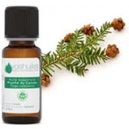 Huile Essentielle De Pruche Du Canada (Tsuga) 5ml