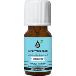 Huile Essentielle d'Eucalyptus Radié BIO 10ml