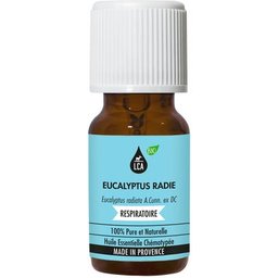 Huile Essentielle d'Eucalyptus Radié BIO 10ml