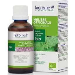 Extrait de plante fraîche Mélisse officinale