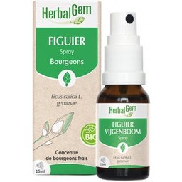 Spray Figuier 15ml