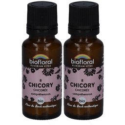 Biofloral 08 Chicory - Chicorée