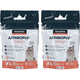 Arthroplus tasty chats