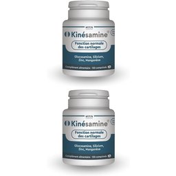 Monin Kinésamine complément pour les articulations
