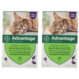 80 pour chat et lapin