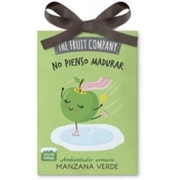 The Armoire à rafraîchissement d'air Pomme 13gr