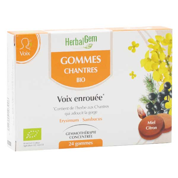 Macérat Concentré Gomme Chantres Bio 24 gommes