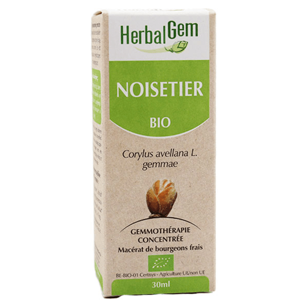 Macérat Concentré Noisetier Bio 30ml