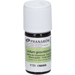 Huile Essentielle Lédon du Groenland Bio