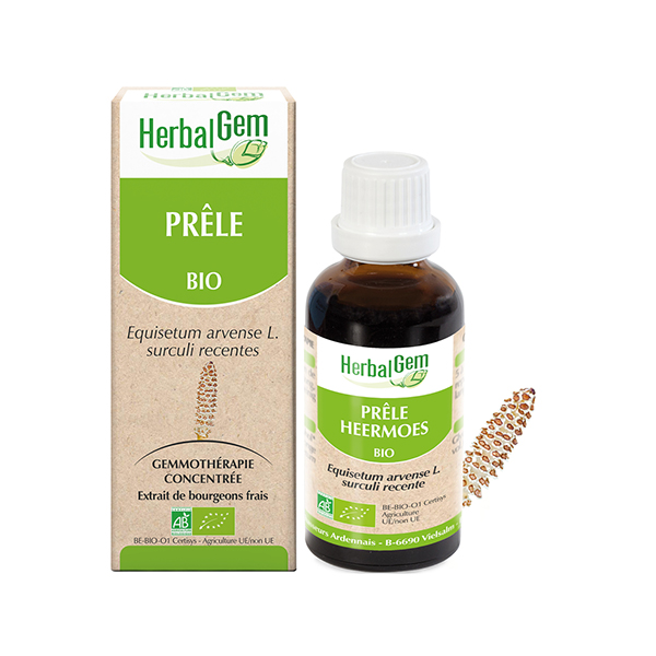 Macérat Concentré Prêle Bio 30ml