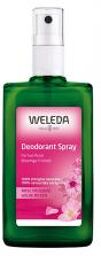 Déodorant Spray Rose - 100 ml - Flacon-Vaporisateur 100 ml