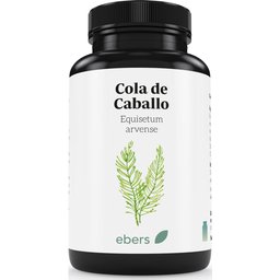 Prêle des Champs 500mg 60comp