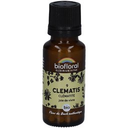 Clematis - Clématite - Bio